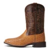 'Ariat' Men's 11" Night Life Ultra Western Square Toe - Ranger Smooth Quill Ostrich / Beam Brown -Shoe Joy Shop S22 MNS WEST 10040345 side 1024x1024@2x